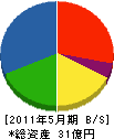 ハタノシステム 貸借対照表 2011年5月期