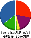 細川商会 貸借対照表 2013年3月期