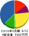 藤岡工業 貸借対照表 2010年9月期
