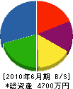 丸廣小川建築 貸借対照表 2010年6月期