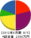 池田経師店 貸借対照表 2012年6月期