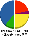 太閤工業 貸借対照表 2010年7月期