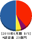 亀井工業 貸借対照表 2010年6月期