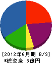 にしき堂 貸借対照表 2012年6月期
