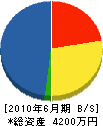 筑波興業 貸借対照表 2010年6月期