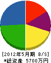 田子電機商会 貸借対照表 2012年5月期