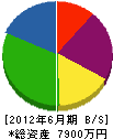 大塚建材工業 貸借対照表 2012年6月期