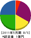 渡邊建設 貸借対照表 2011年5月期