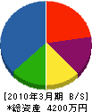 野村電気商会 貸借対照表 2010年3月期