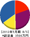 ペイントビルヅ・イシイ 貸借対照表 2012年5月期