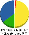 竹之下電工 貸借対照表 2009年12月期