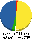 小林建設 貸借対照表 2009年3月期