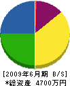 梅沢塗装工業 貸借対照表 2009年6月期