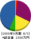 宏電社 貸借対照表 2009年9月期