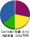 篠塚工業所 貸借対照表 2010年7月期
