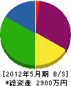 九州商事 貸借対照表 2012年5月期