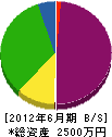 大洋電興社 貸借対照表 2012年6月期
