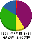 菅谷緑建 貸借対照表 2011年7月期