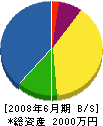 永木産業 貸借対照表 2008年6月期
