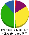唐木澤商事 貸借対照表 2009年12月期