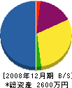 羽生訓雄 貸借対照表 2008年12月期