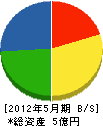 池田土木 貸借対照表 2012年5月期