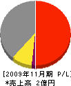 池田組 損益計算書 2009年11月期