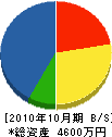 上田電気商会 貸借対照表 2010年10月期