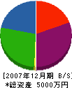 職人’ｓＣＬＵＢ柳沢建築 貸借対照表 2007年12月期