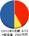 日本テック 貸借対照表 2012年9月期