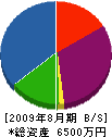 タイセー 貸借対照表 2009年8月期