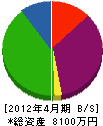 新井工業 貸借対照表 2012年4月期
