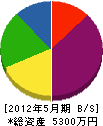 松永組 貸借対照表 2012年5月期