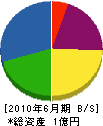 向江組 貸借対照表 2010年6月期