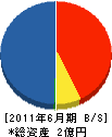 栃舗建設工業 貸借対照表 2011年6月期