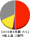 戸川電工 損益計算書 2010年9月期