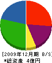 桜庭建設 貸借対照表 2009年12月期