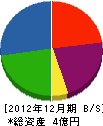 西日本光創 貸借対照表 2012年12月期