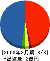 エムシーアール・コーポレーション 貸借対照表 2008年9月期