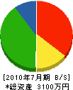 小島建設 貸借対照表 2010年7月期