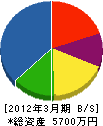 菅沼電機商会 貸借対照表 2012年3月期