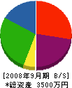 大栄エンバイロメント 貸借対照表 2008年9月期