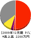 中村土木 損益計算書 2009年12月期