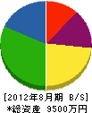 伸陽電気 貸借対照表 2012年8月期