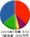 武田園芸グリーンサービス 貸借対照表 2010年7月期