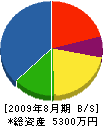 平野硝子建材 貸借対照表 2009年8月期