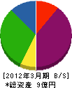 丸三商会 貸借対照表 2012年3月期