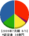 田中組 貸借対照表 2009年7月期