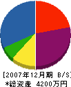 橋本工務店 貸借対照表 2007年12月期