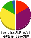 菅原建設 貸借対照表 2012年5月期